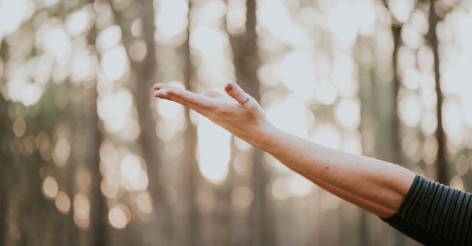 From Chaos to Clarity: ADHD-Focused Group Psychotherapy